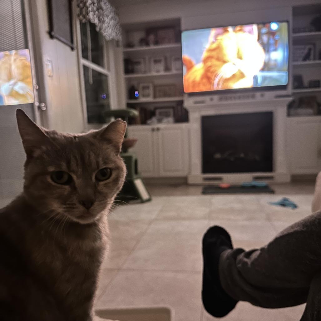 Sandy — thumbnail 2