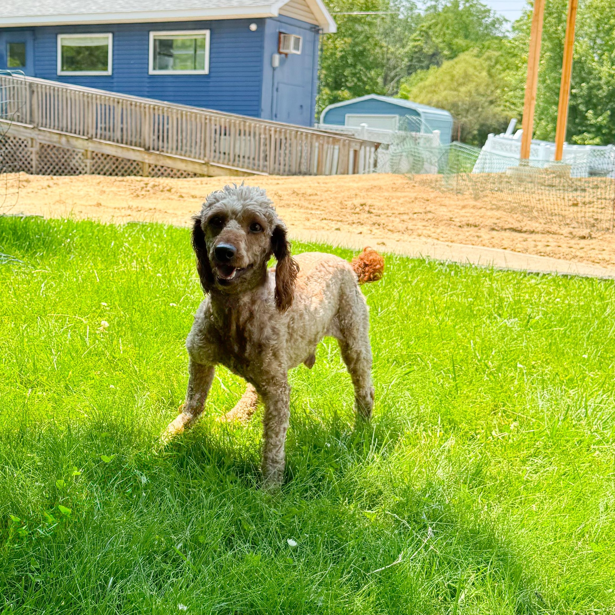Ben photo 5