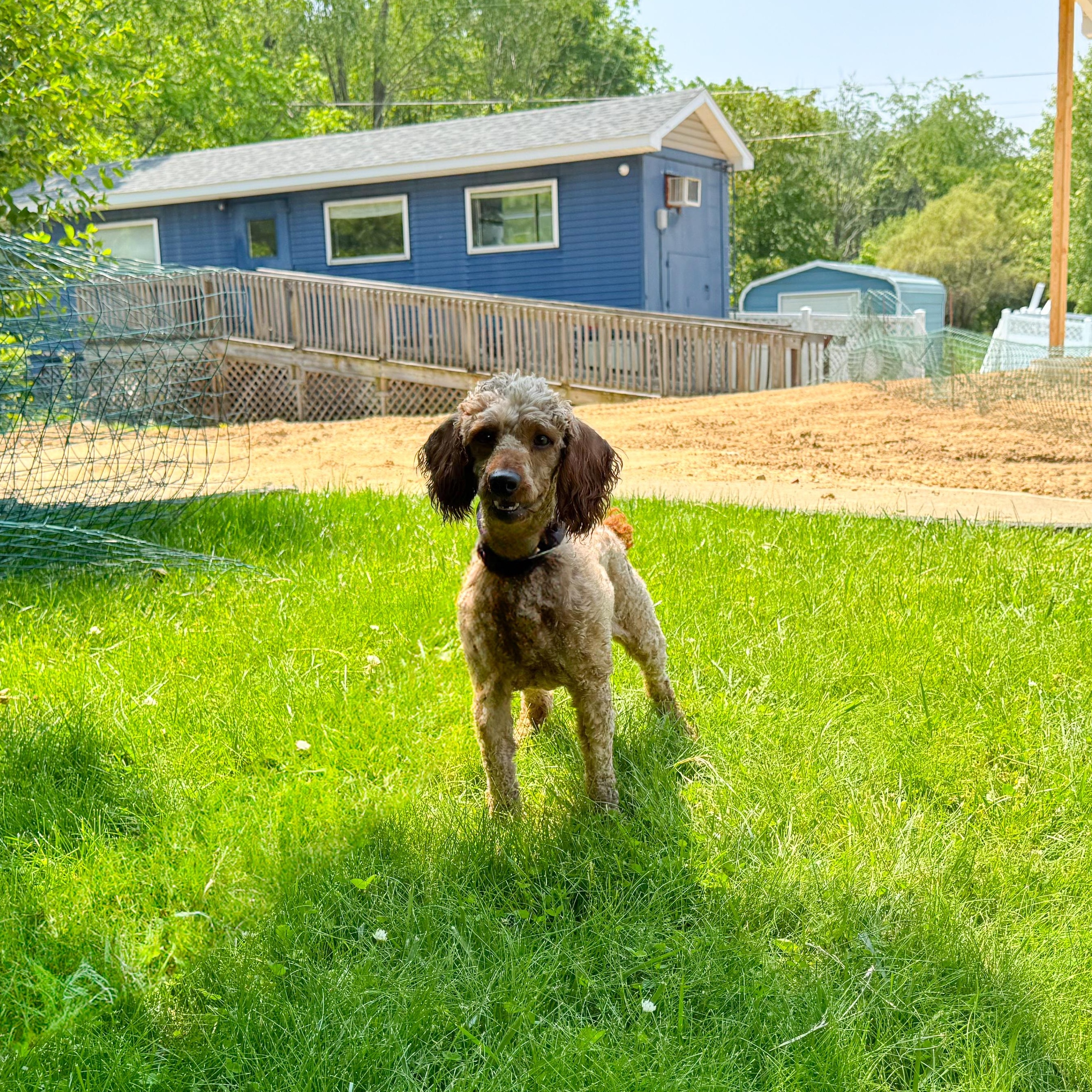 Ben photo 3