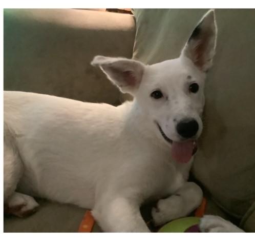 Sammie photo 5