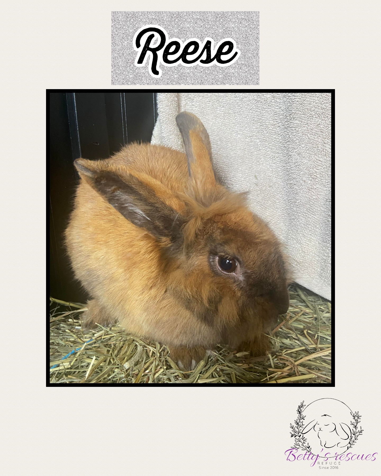 Reese