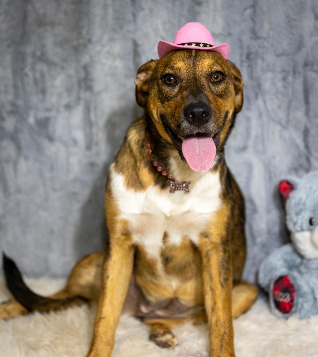 Maggie — thumbnail 3