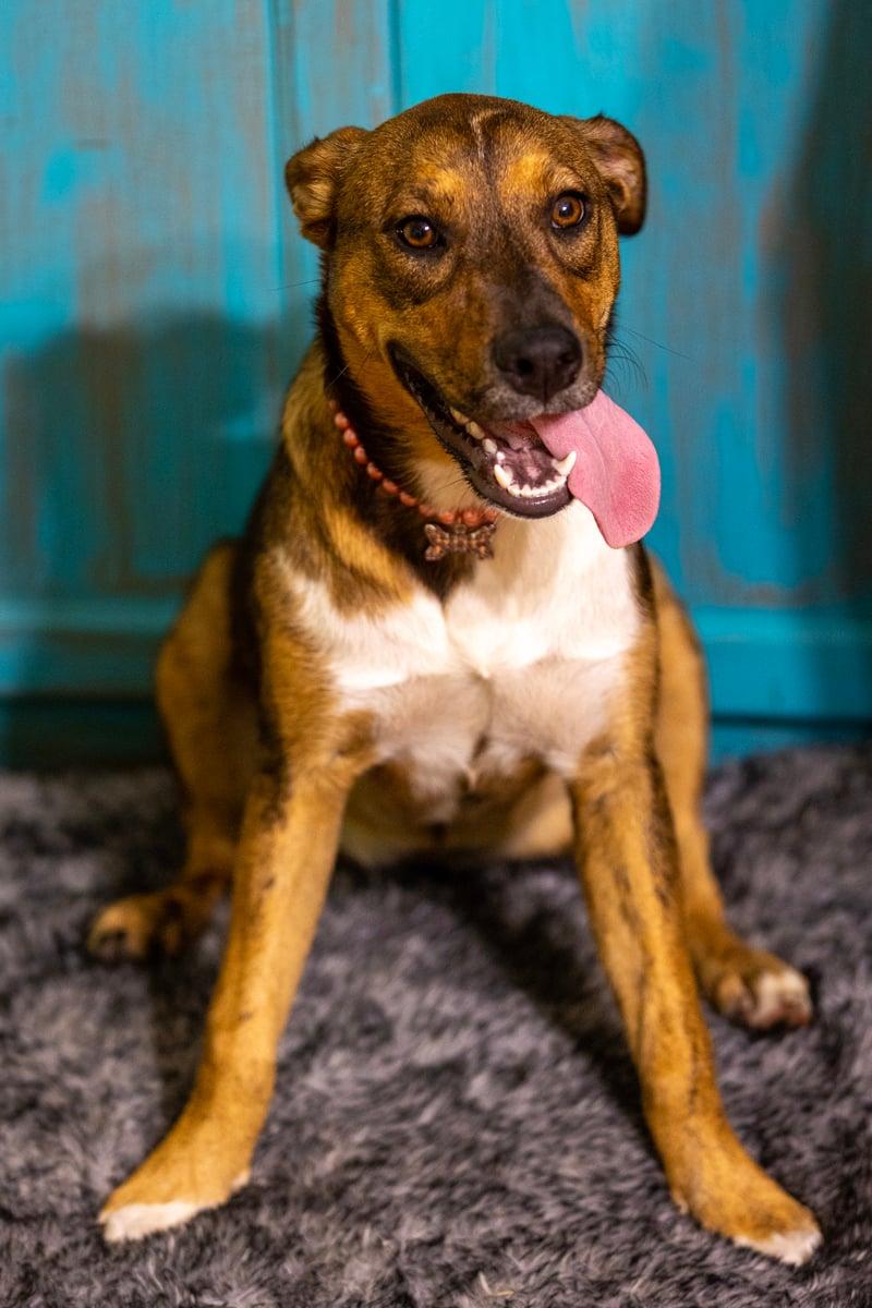 Maggie — thumbnail 4