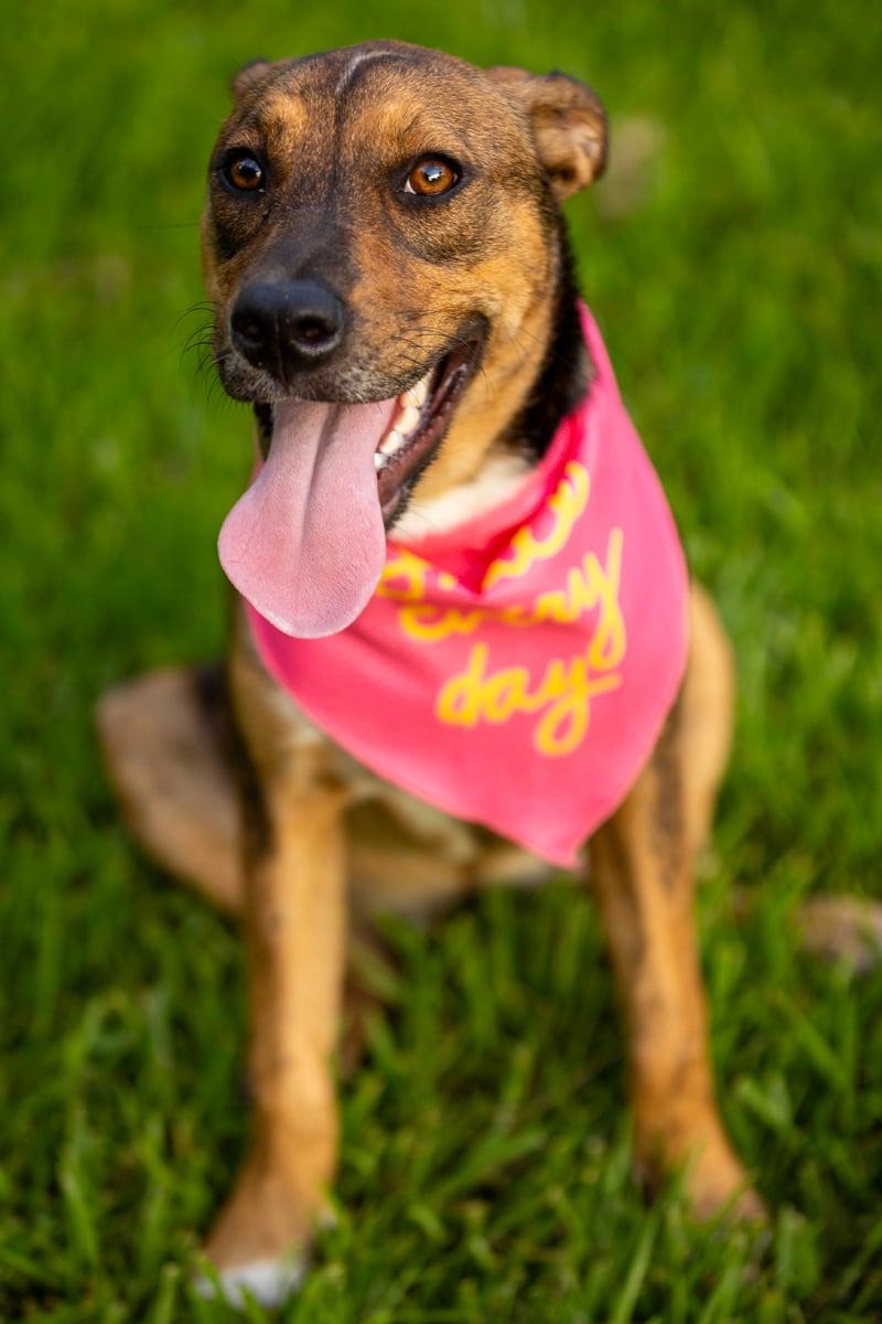 Maggie — thumbnail 5