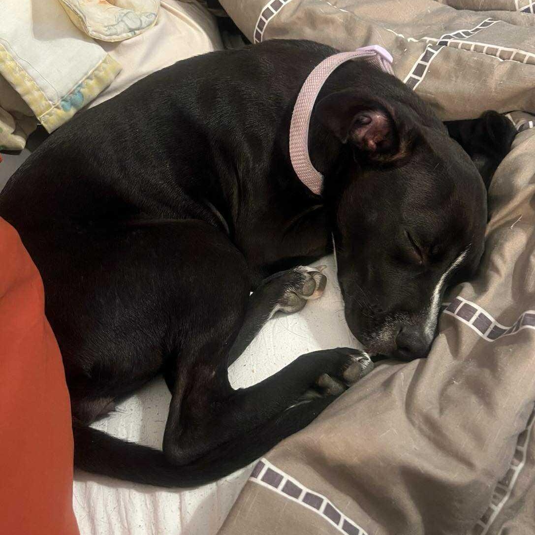 Blaze — thumbnail 6