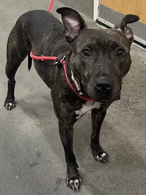 MICKIE — thumbnail 4