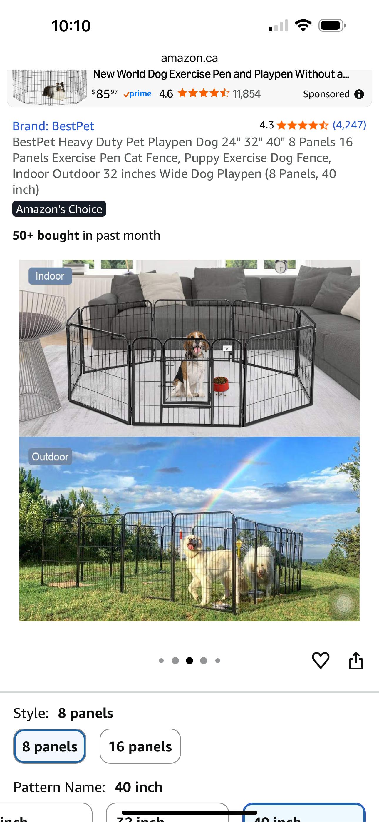 Enlarge Harley, an adopted mixed breed in Oakville, ON image 3/5