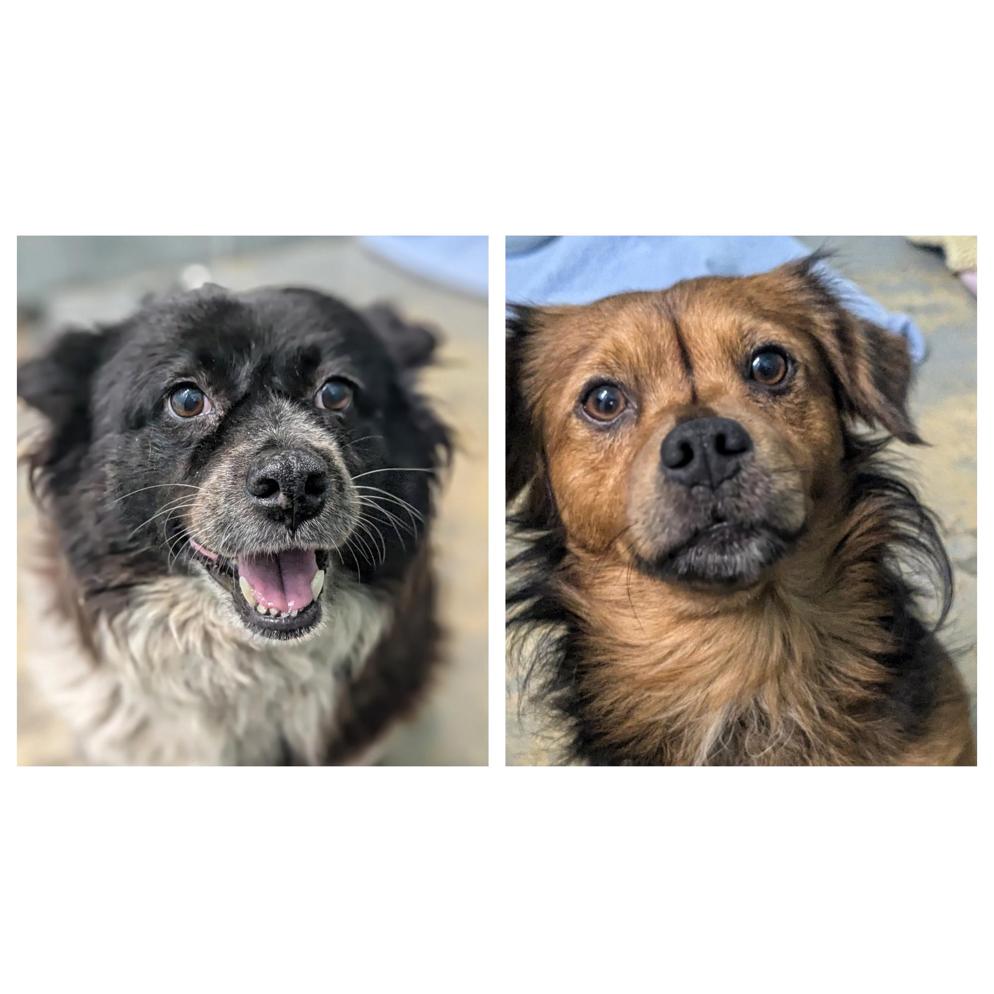 Gabby & Spice