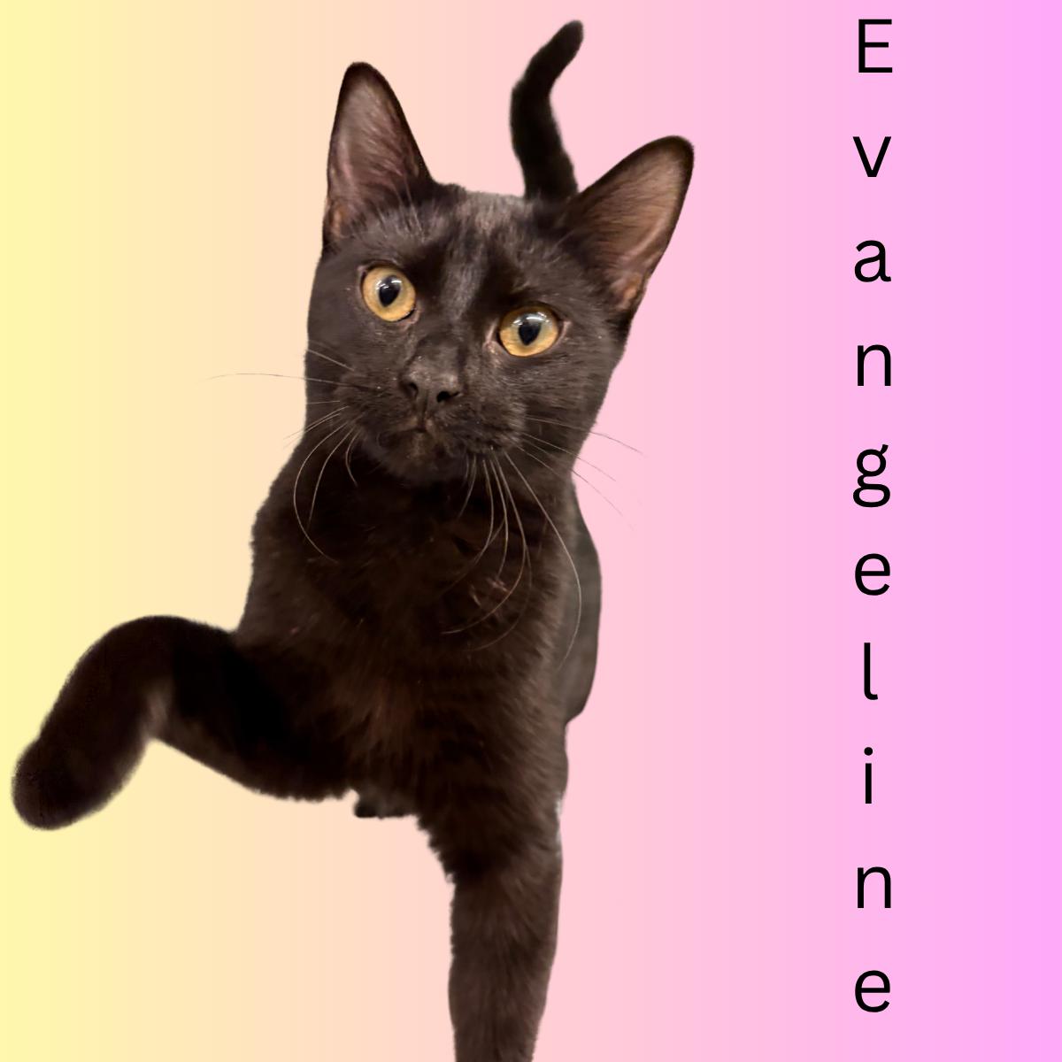 Evangeline
