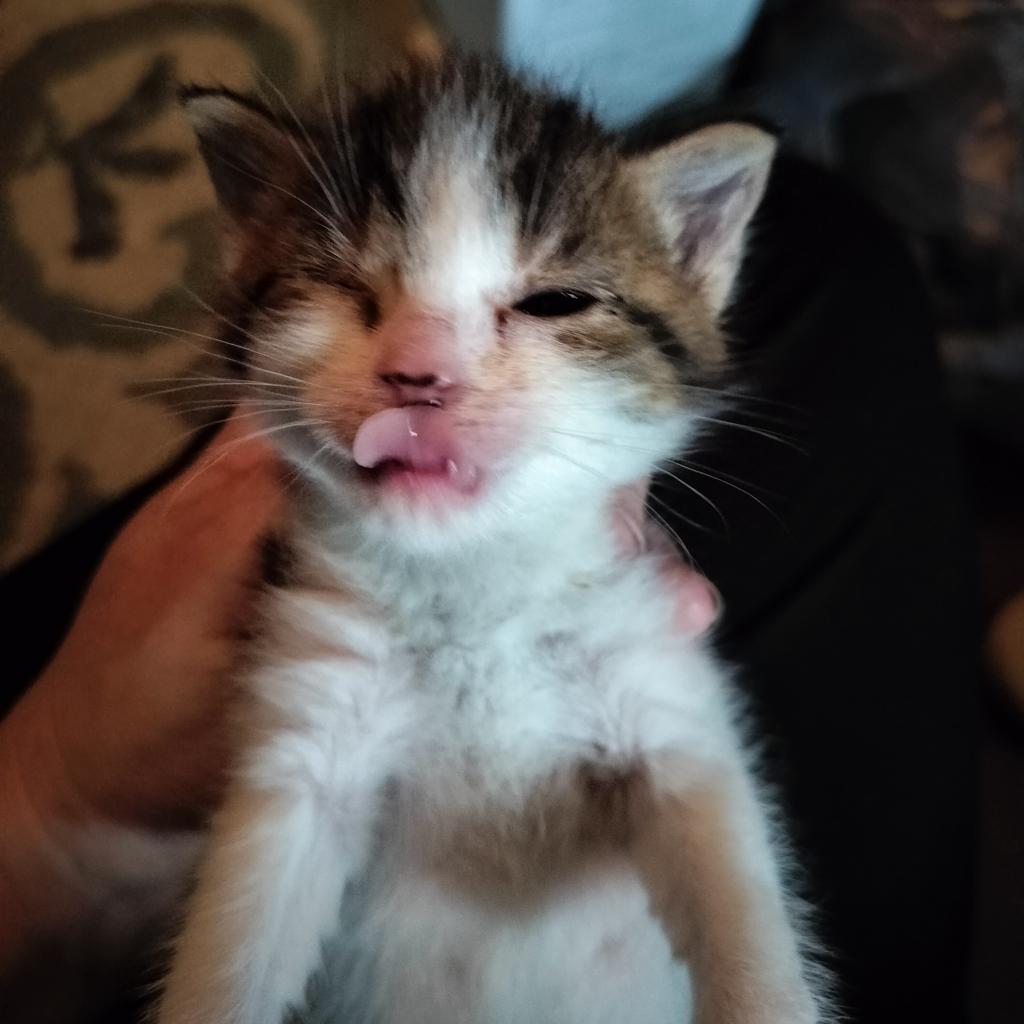 Snap — thumbnail 2