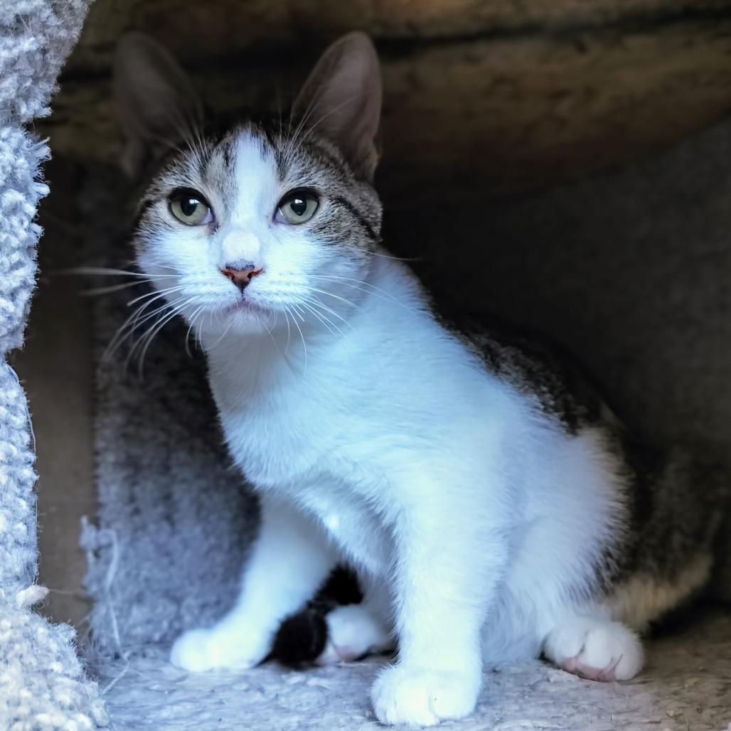 Snap — thumbnail 5