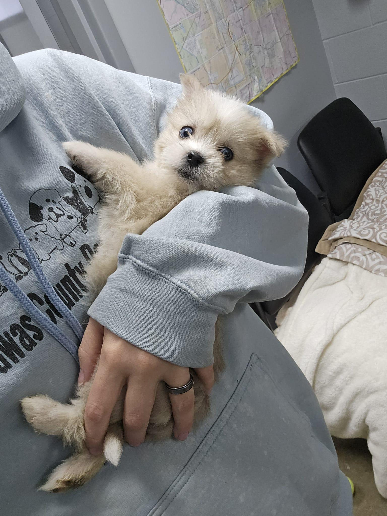 Nicholas thumbnail 2