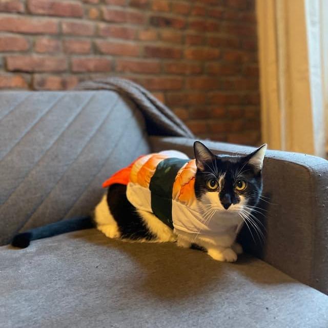 Foe (bonded to Fee) — thumbnail 3