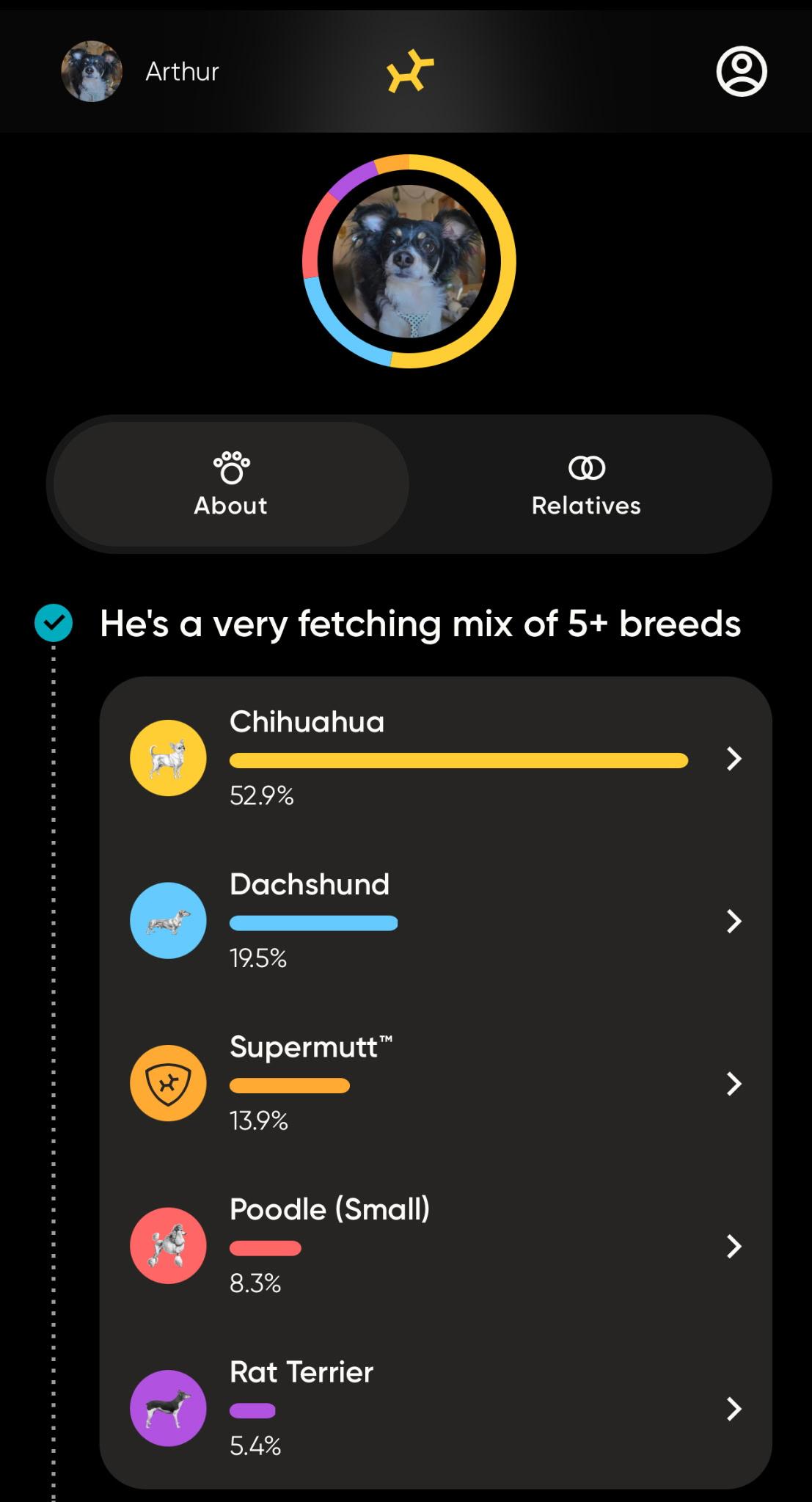 Arthur, a Adoptable mixed breed in Cedar Rapids, IA image 4/6