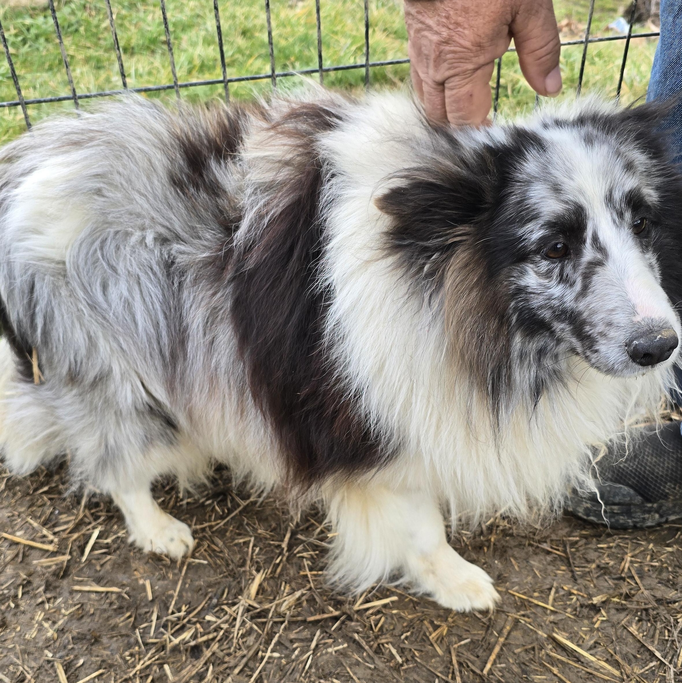 Zeus photo 1