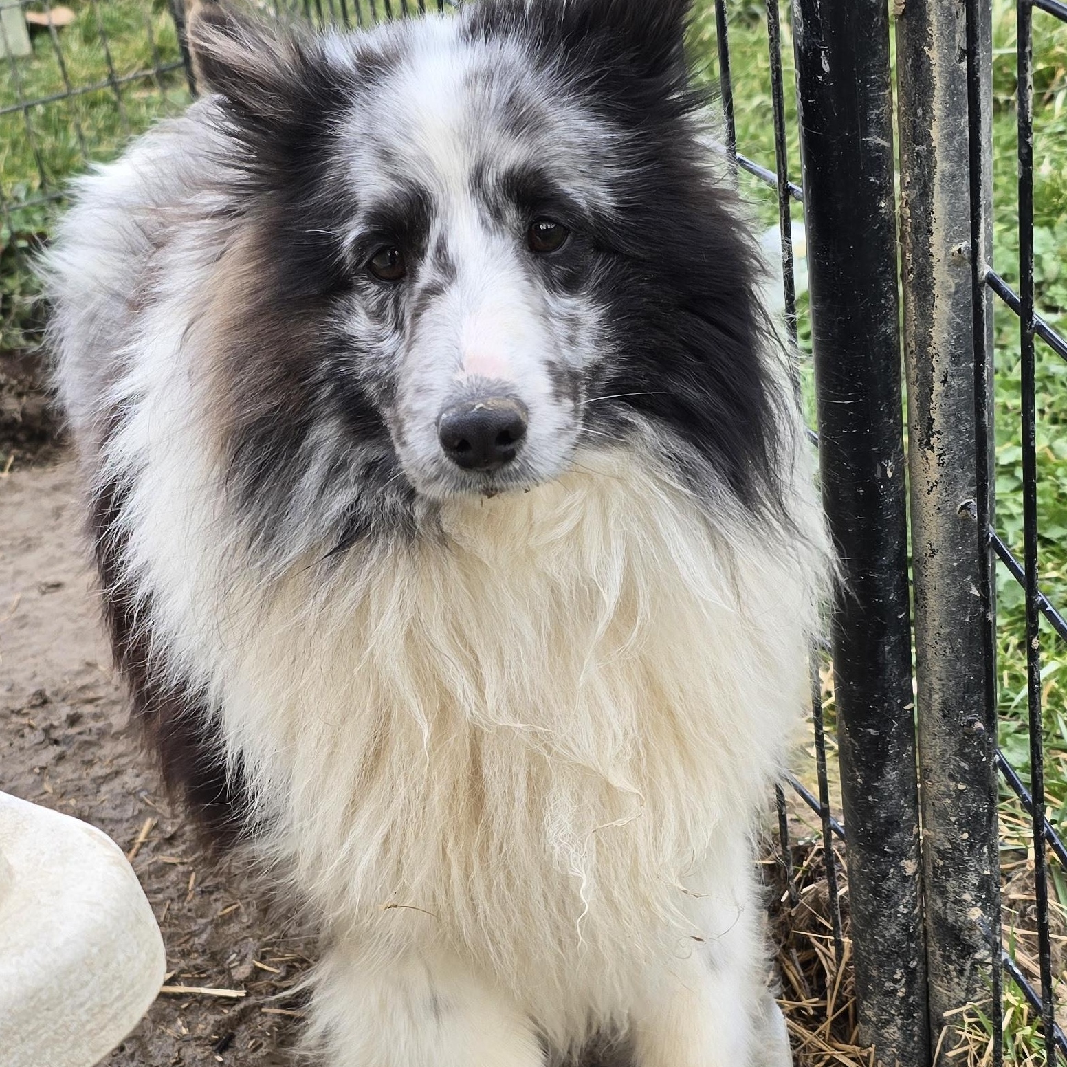 Zeus photo 2