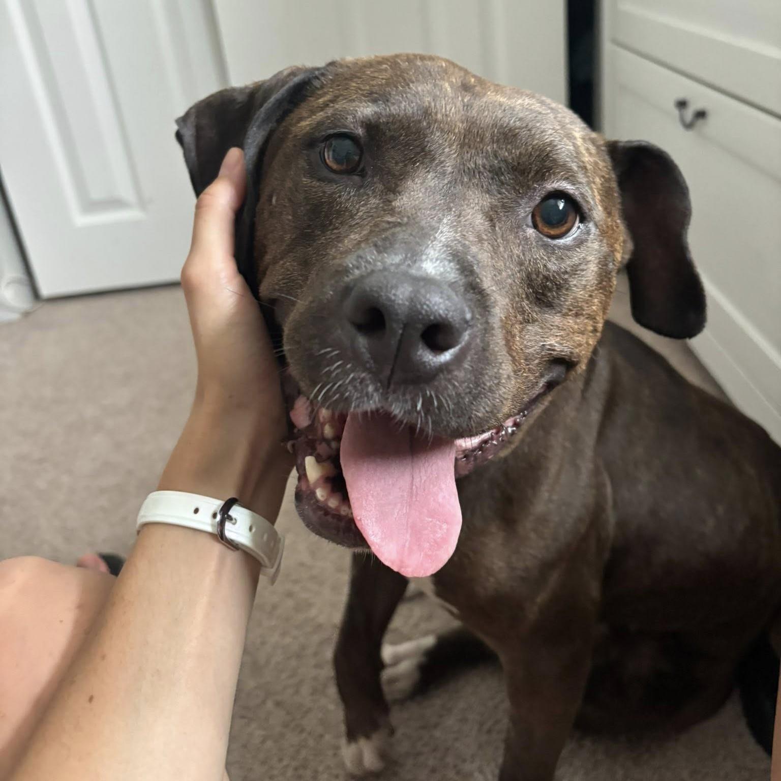 Luna