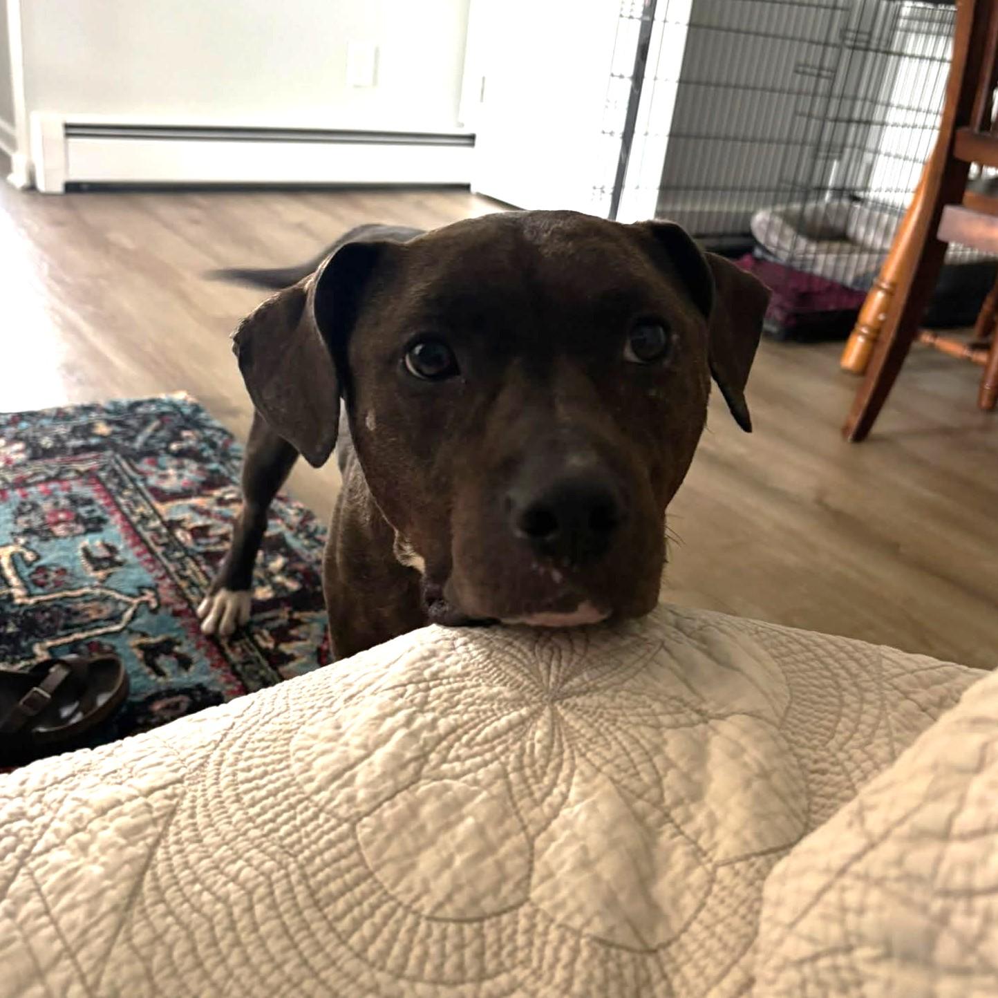 Luna