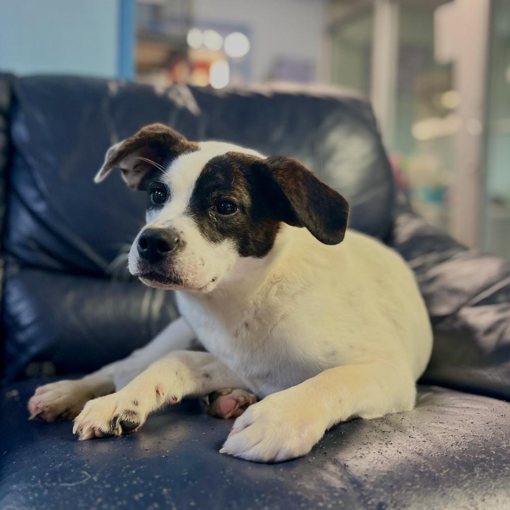 Betty — thumbnail 5