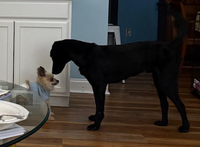 Autry — thumbnail 2