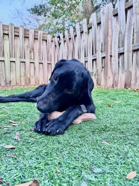 Autry — thumbnail 3