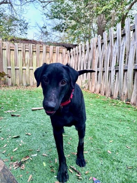 Autry — thumbnail 5