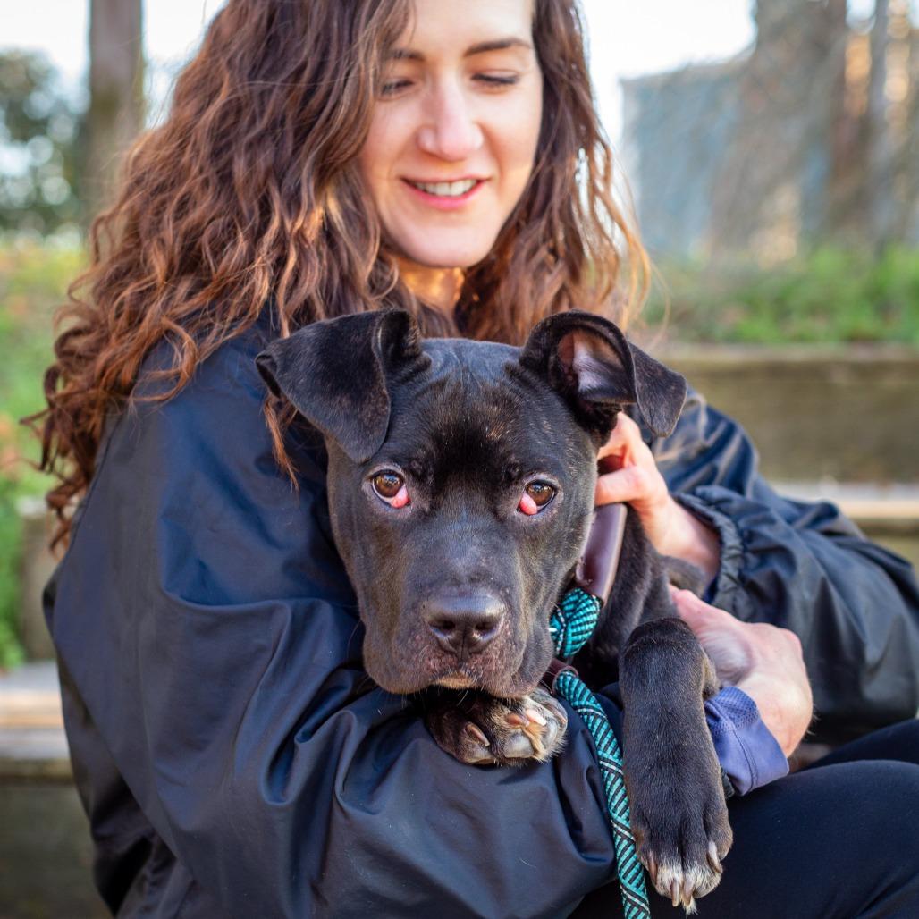 Enlarge Rina, a Adoptable mixed breed in Hattiesburg, MS image 4/4