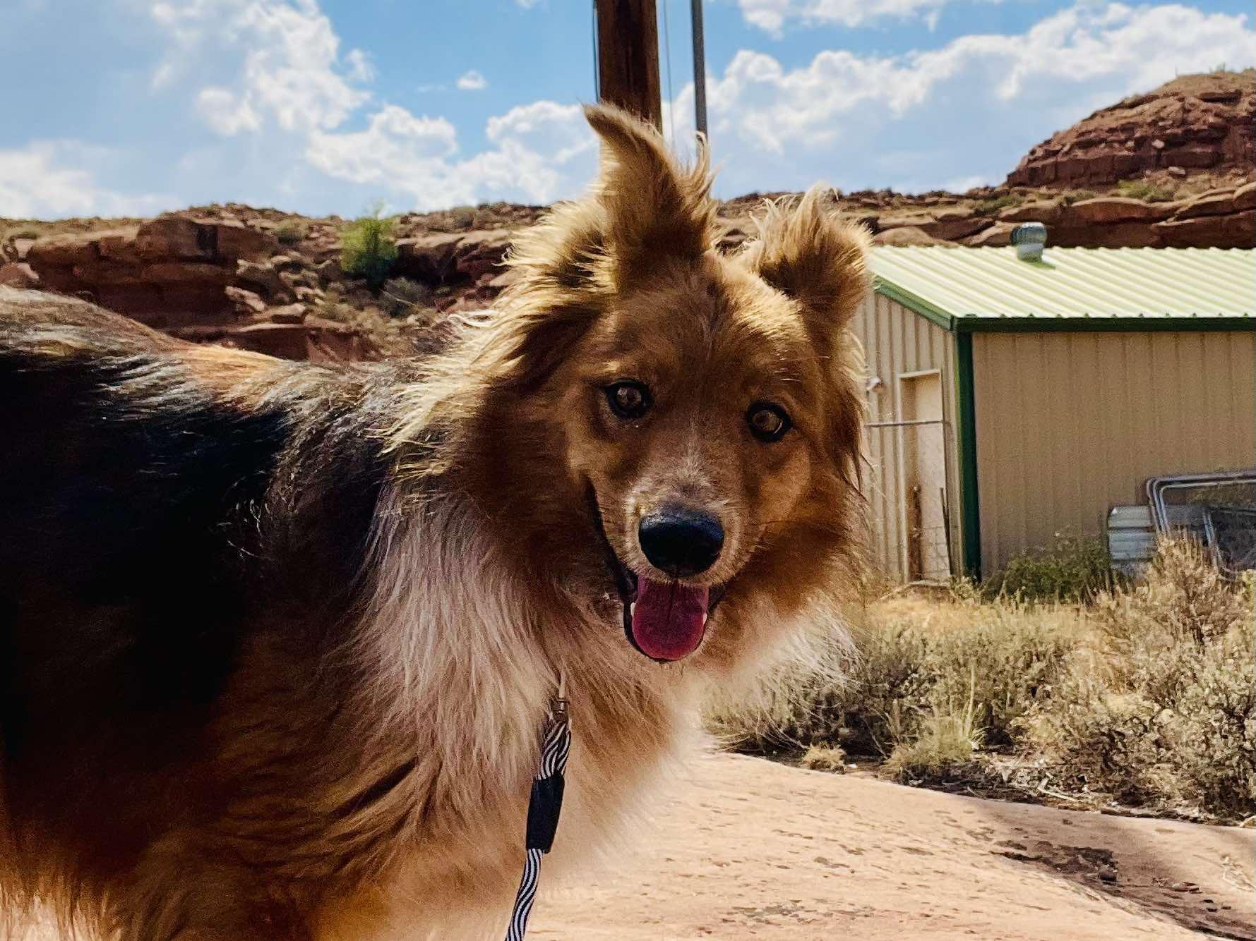 Maverick