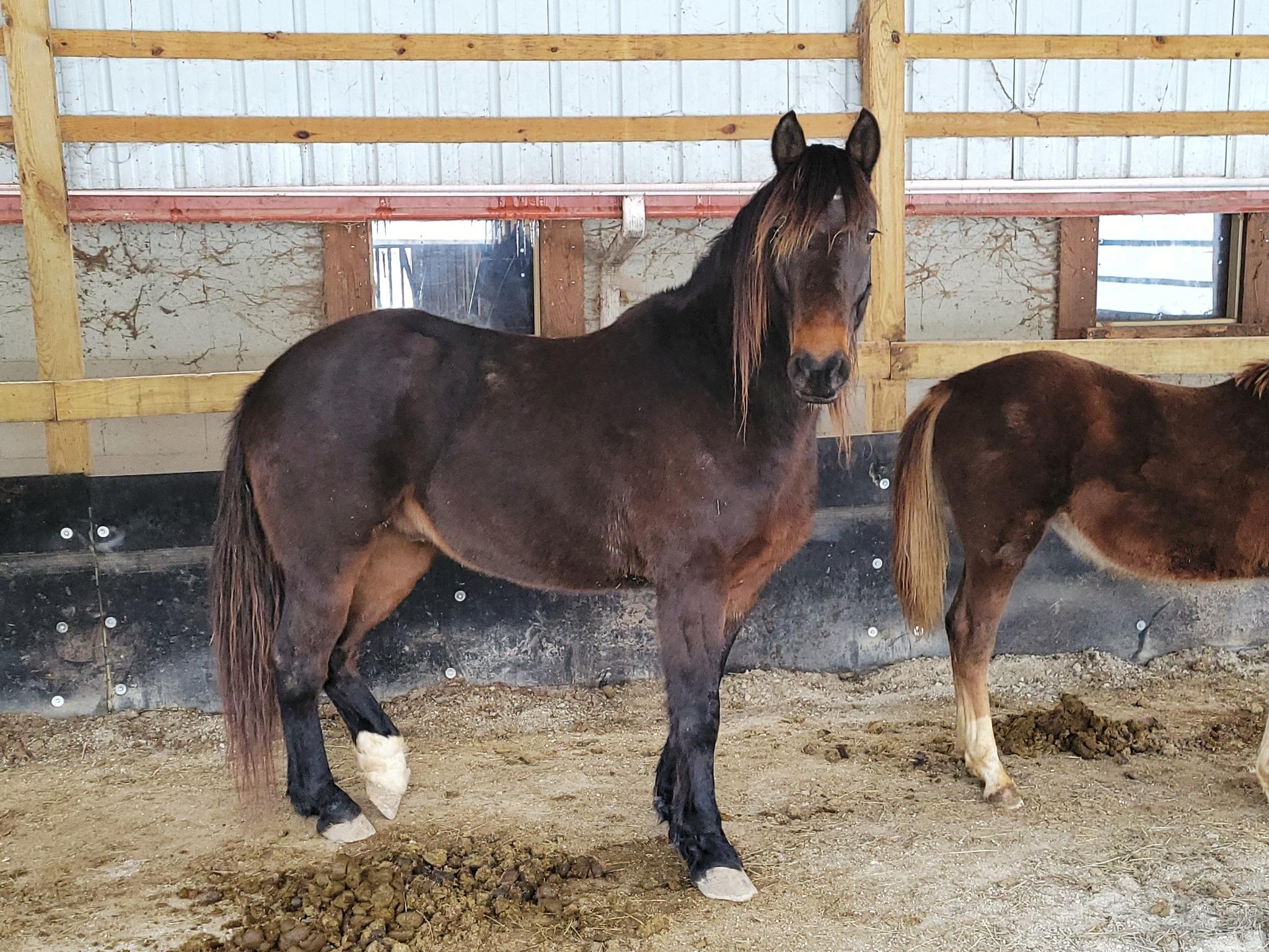 Auburn - 365 Division, Adult Male unknown