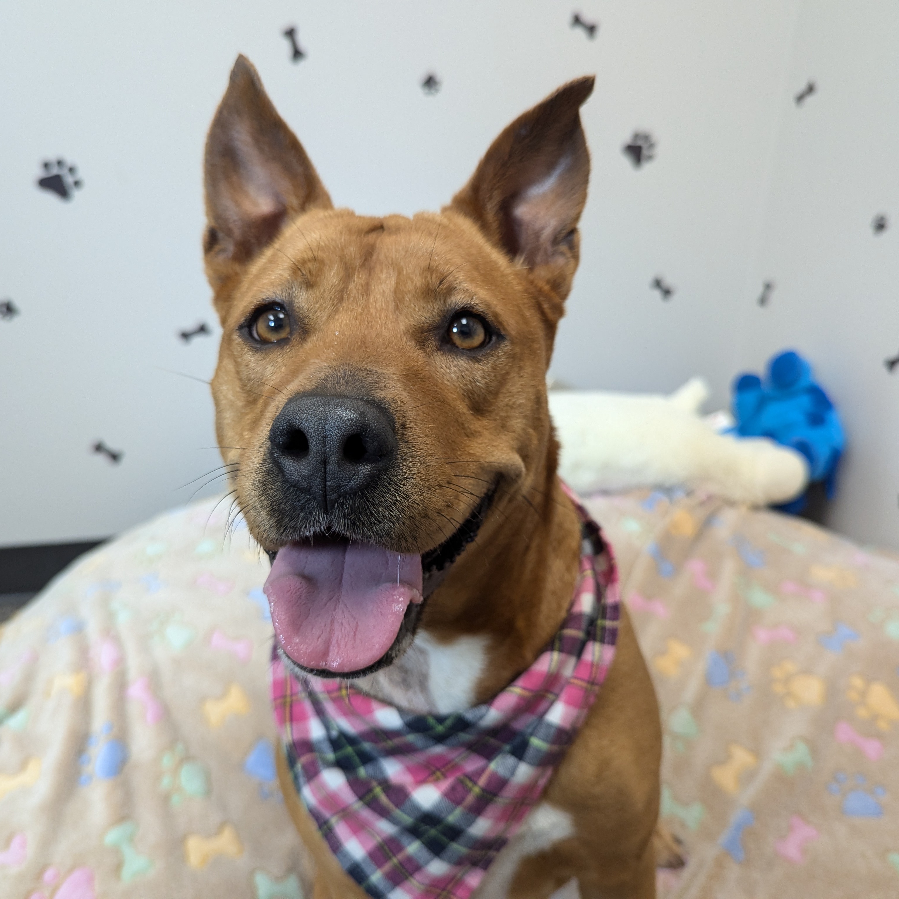 Honey — thumbnail 4