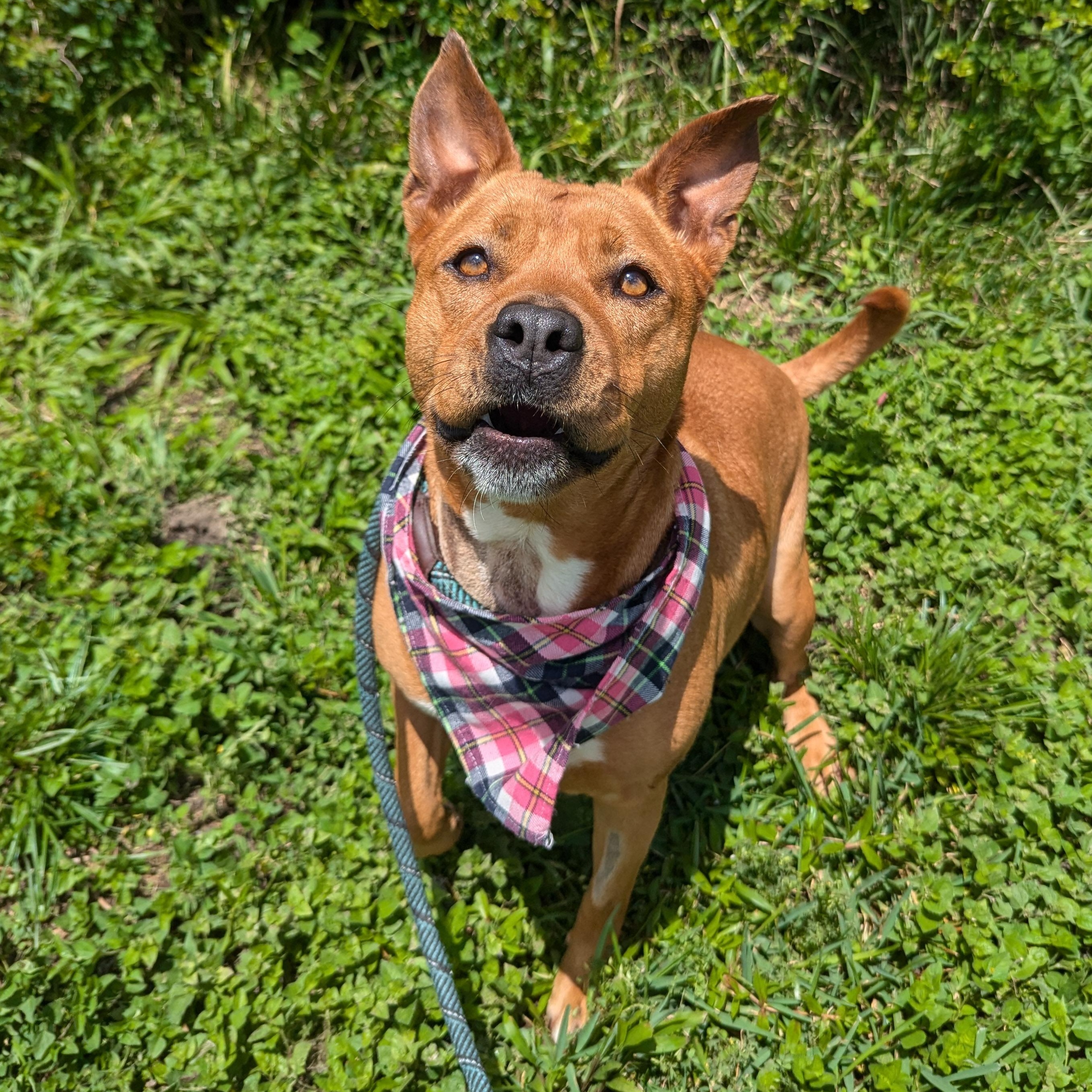 Honey — thumbnail 6