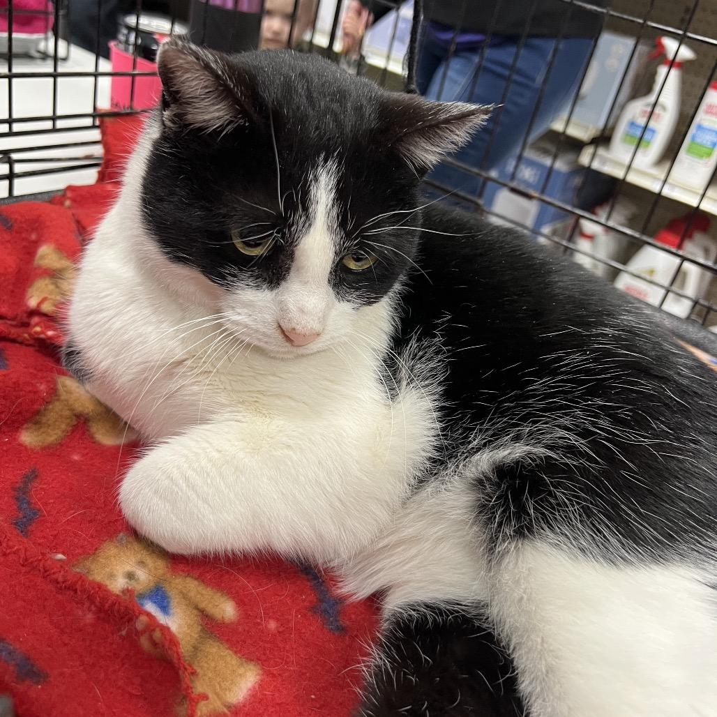 Chloe — thumbnail 2