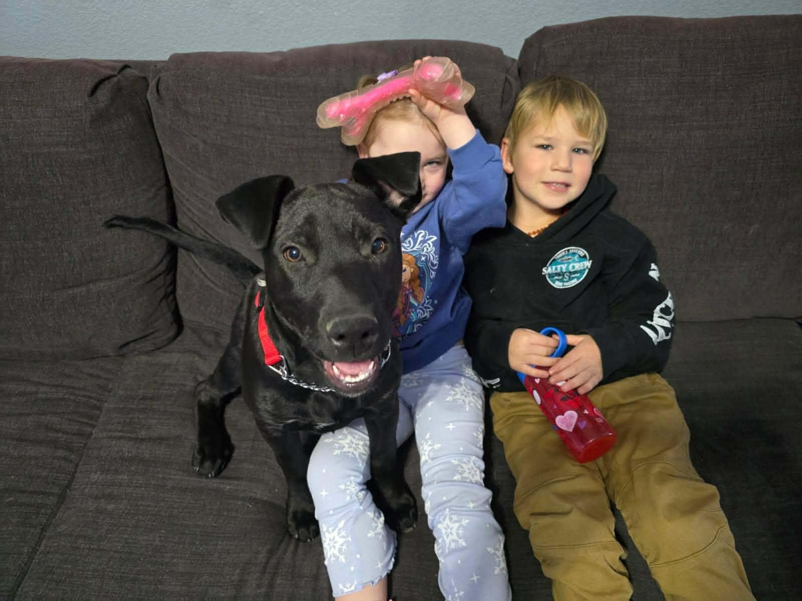 Enlarge Baker, an adoptable mixed breed in Temecula, CA image 6/6