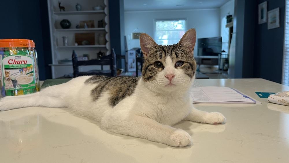 Felicity — thumbnail 4