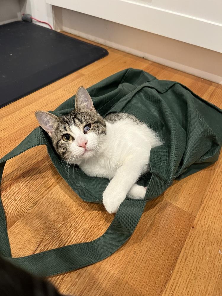 Felicity — thumbnail 5