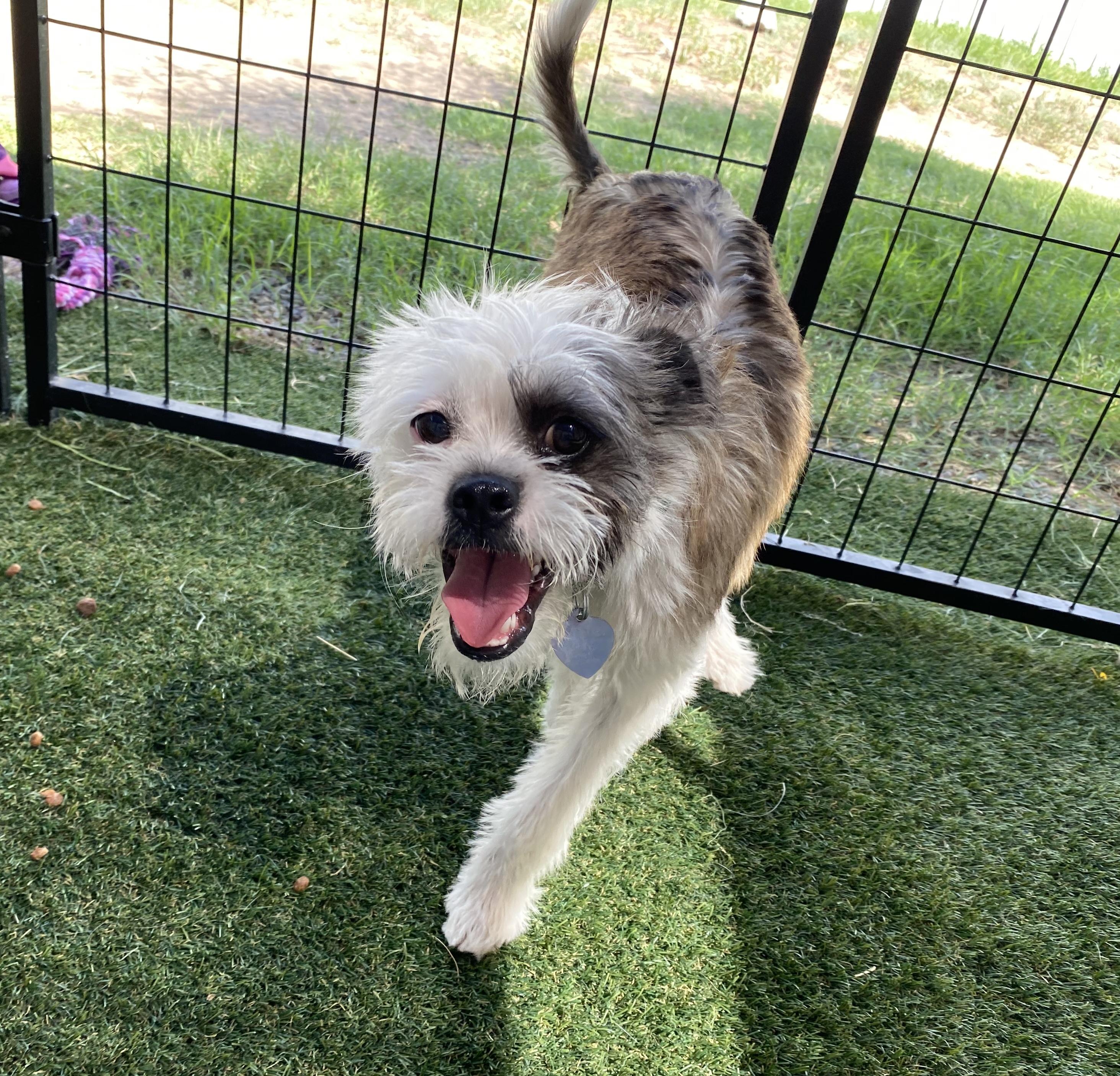 Ralfie