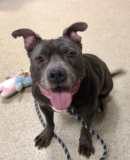 Garfunkel — thumbnail 3