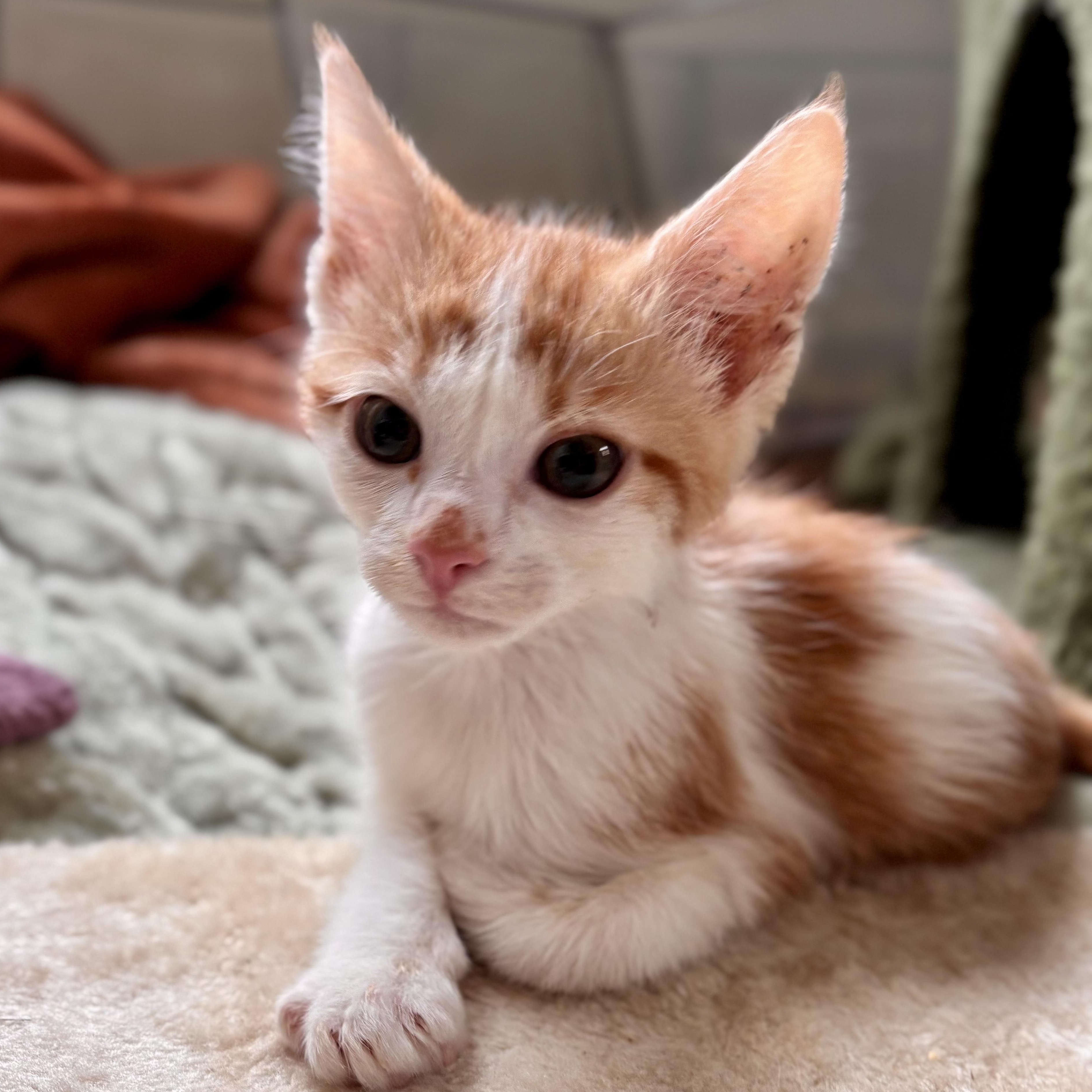 Naruto, Baby Male unknown