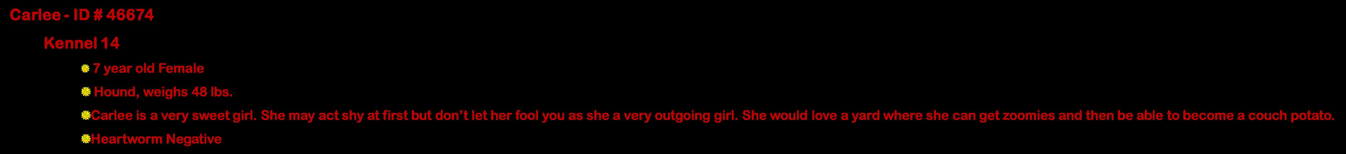 Enlarge Wendy, a ADOPTABLE mixed breed in Suffolk, VA image 3/3