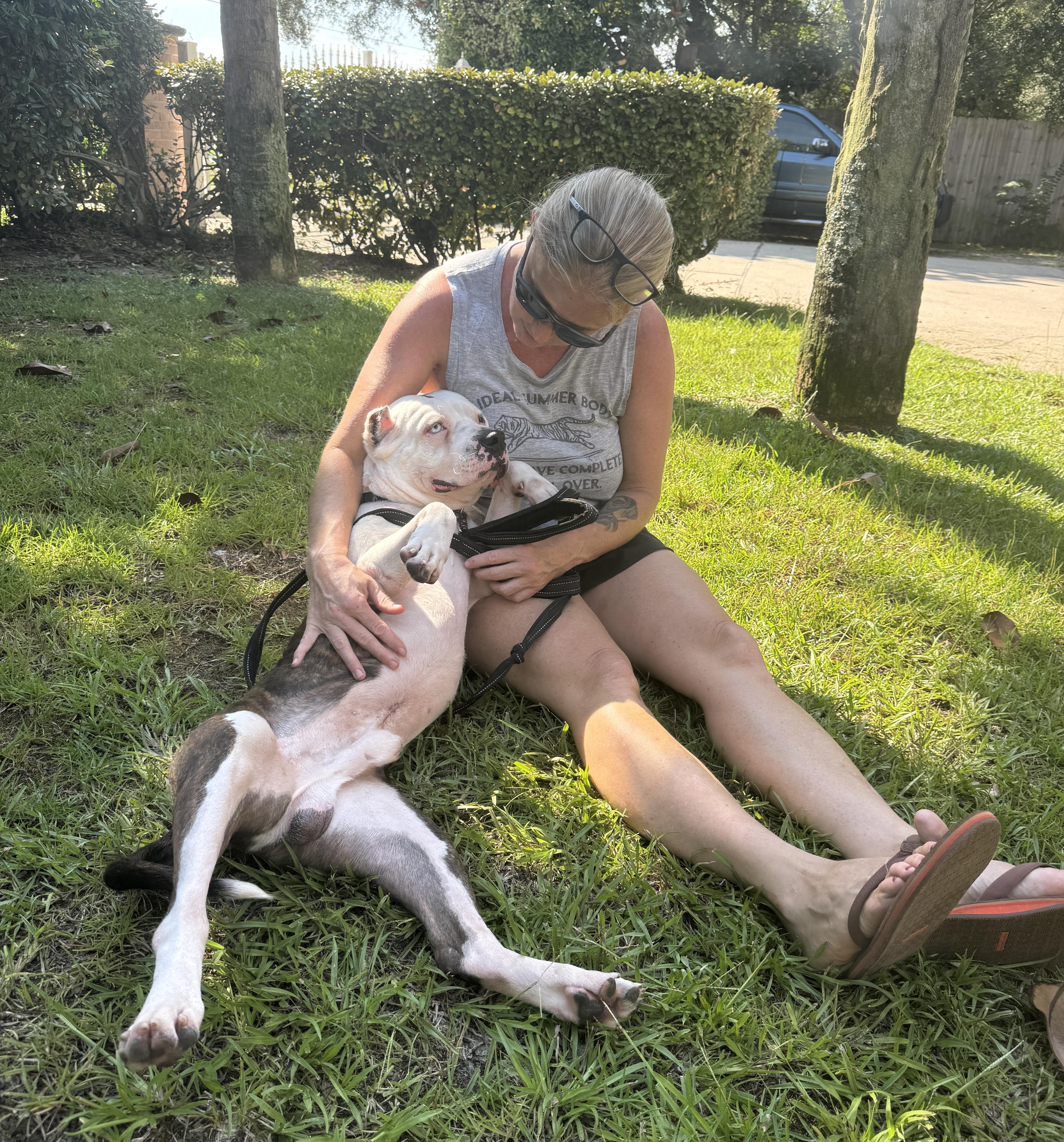 Enlarge Brady, a ADOPTABLE mixed breed in Navarre, FL image 4/6