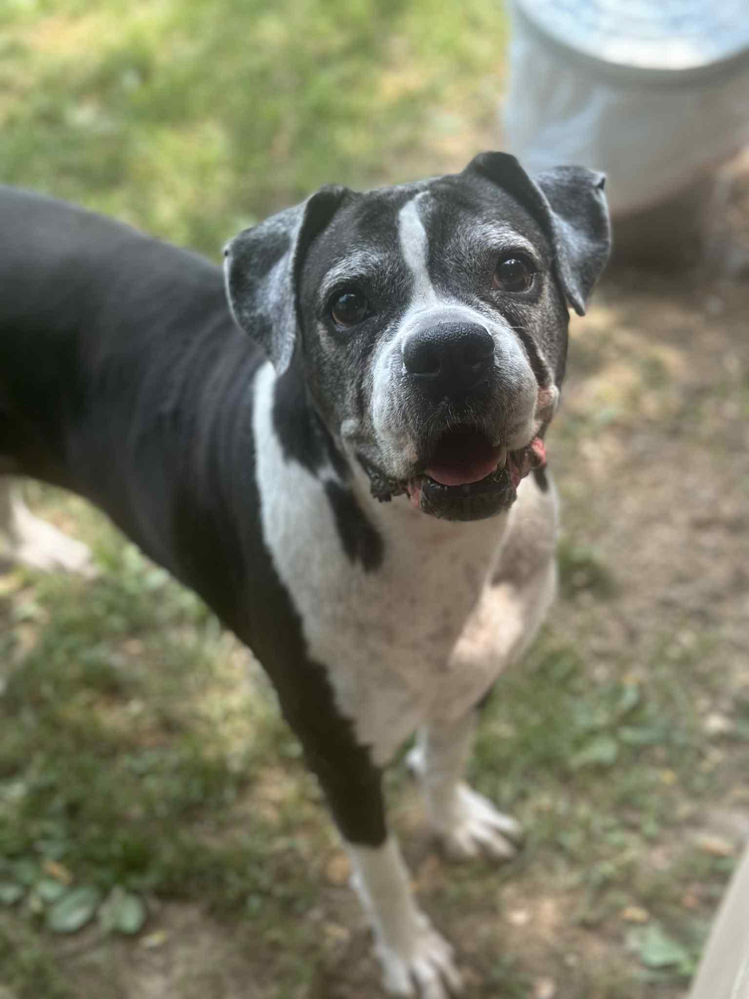 Moira (living in a foster home)