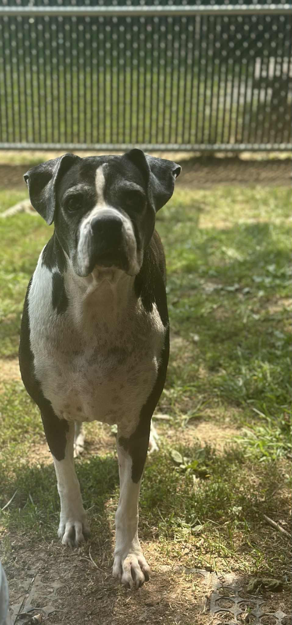 Moira (living in a foster home)