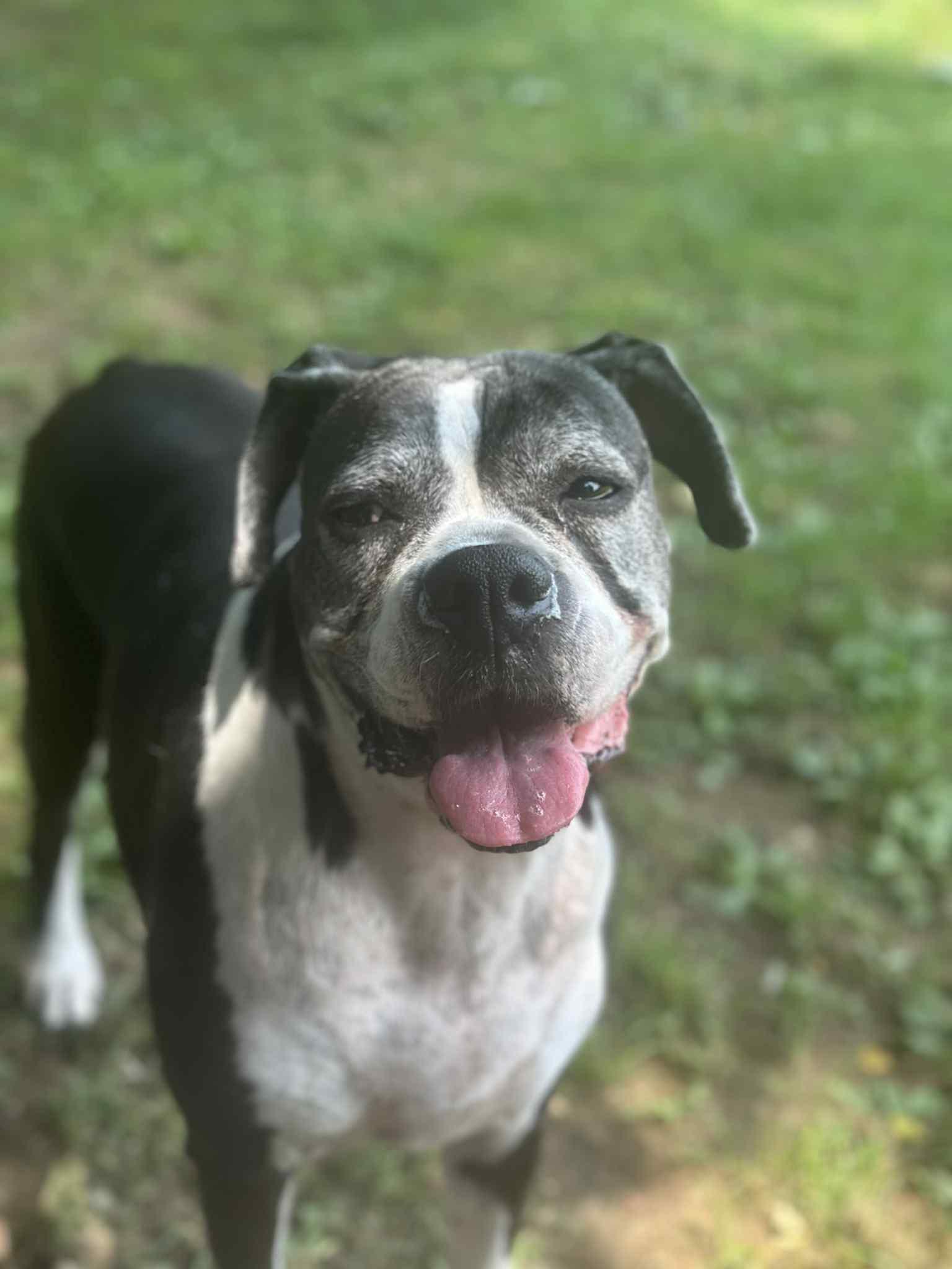 Moira (living in a foster home)