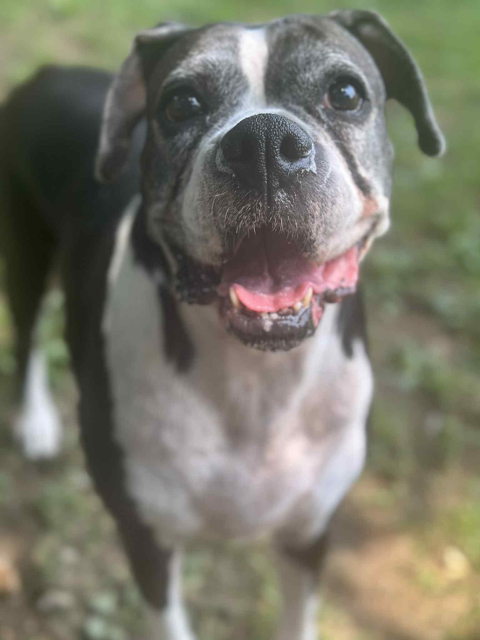 Moira (living in a foster home)