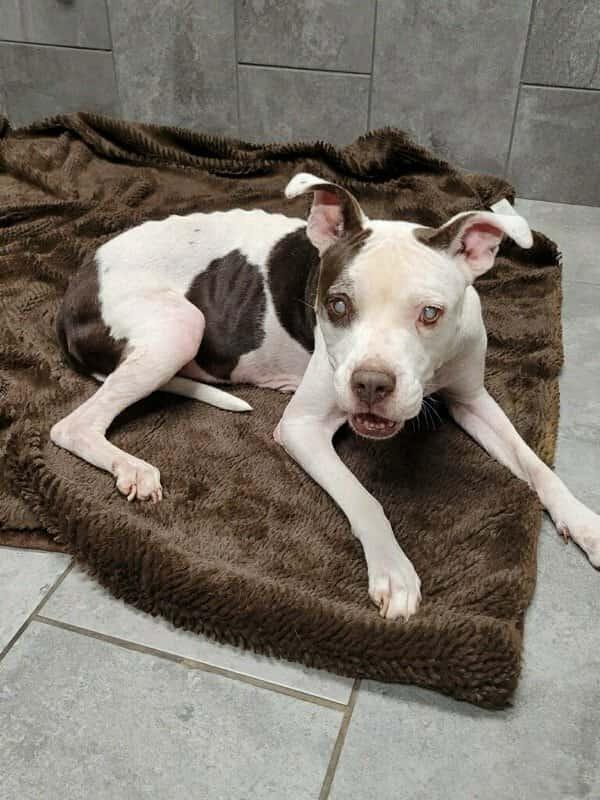 Marge Tx thumbnail 3