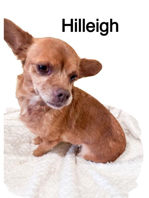 Hilleigh (and Gully)