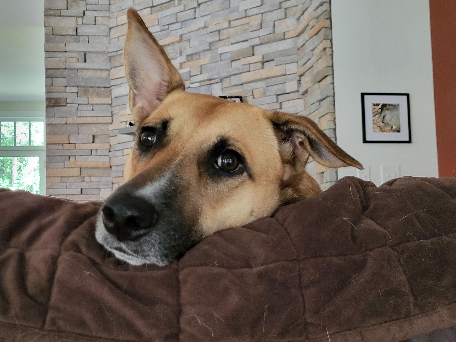 Winnie — thumbnail 3