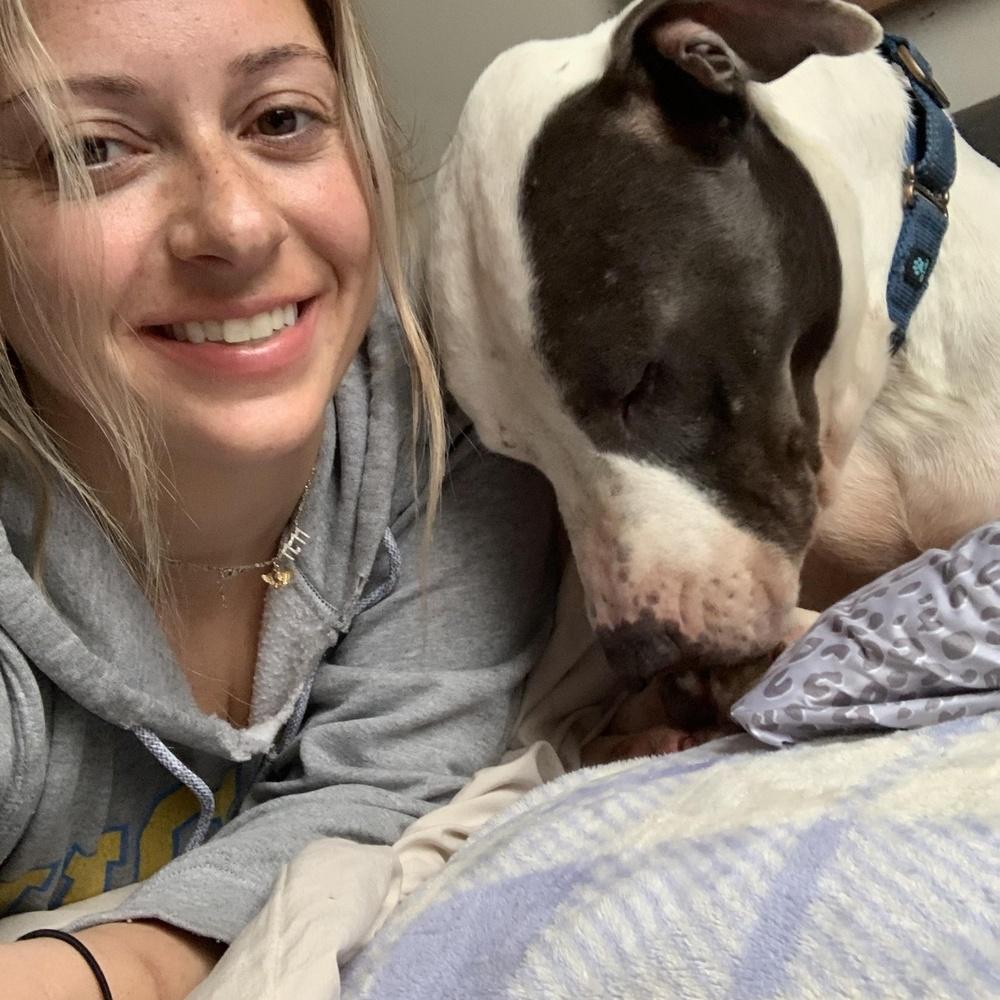 Enlarge Macbeth, a Adoptable mixed breed in Indianapolis, IN image 4/4