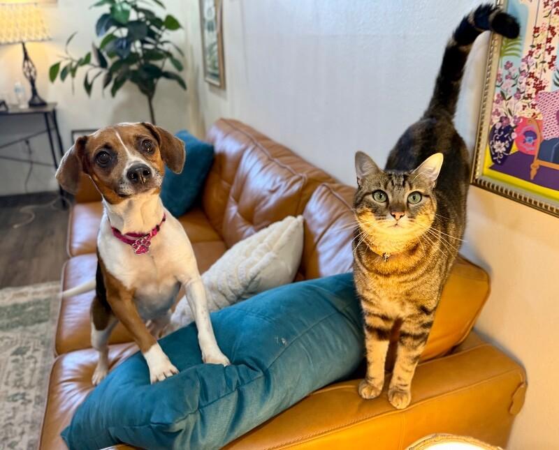 Katniss Everdeen the Ever so Fabulous Cutie — thumbnail 2