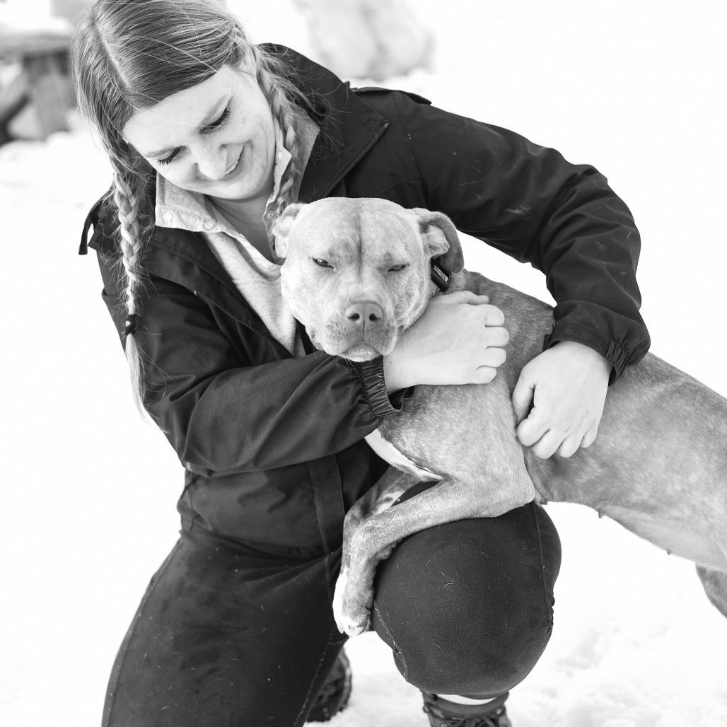 Enlarge Gwen, a Adoptable Mixed Breed in Grand Rapids, MI image 1/6